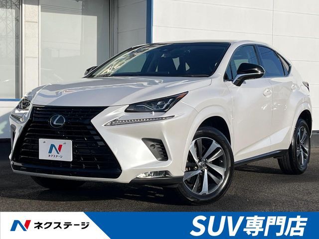 LEXUS NX300