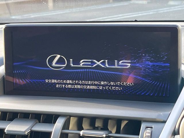 LEXUS NX300