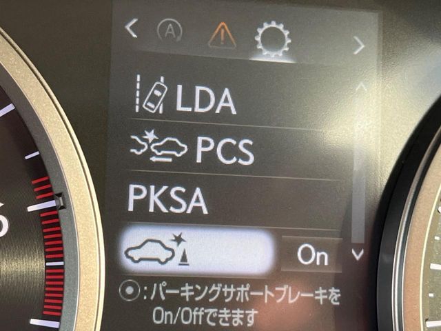 LEXUS NX300