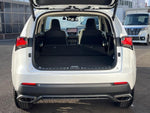 LEXUS NX300