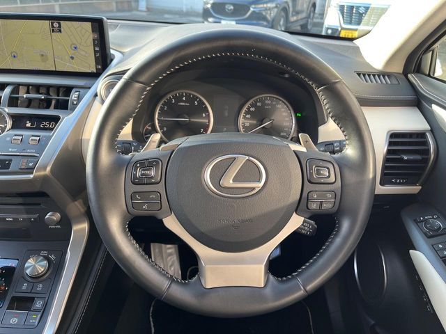 LEXUS NX300