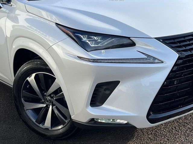 LEXUS NX300
