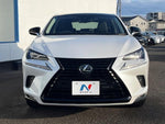 LEXUS NX300