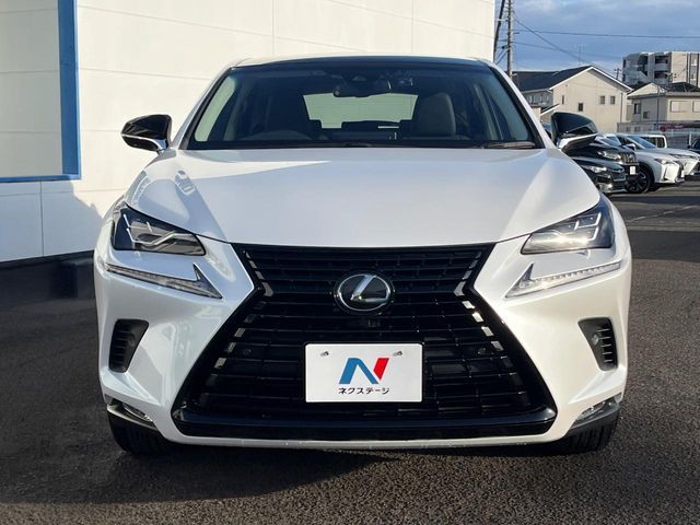 LEXUS NX300