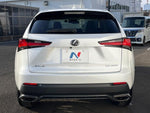 LEXUS NX300