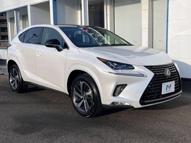 LEXUS NX300