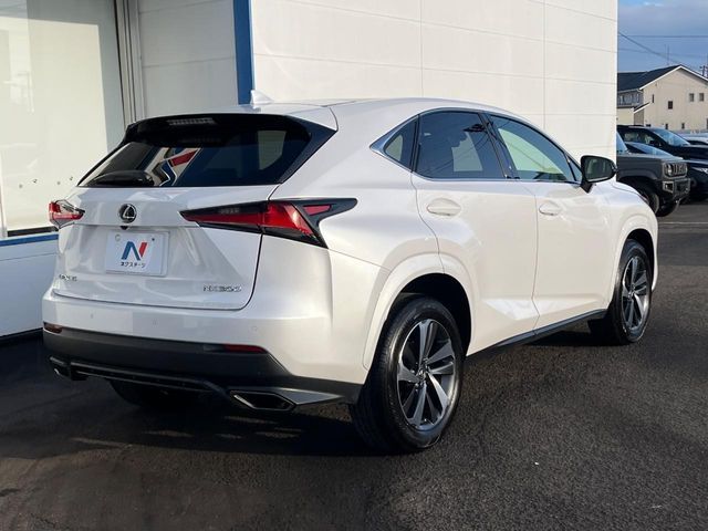 LEXUS NX300