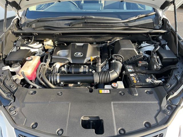 LEXUS NX300