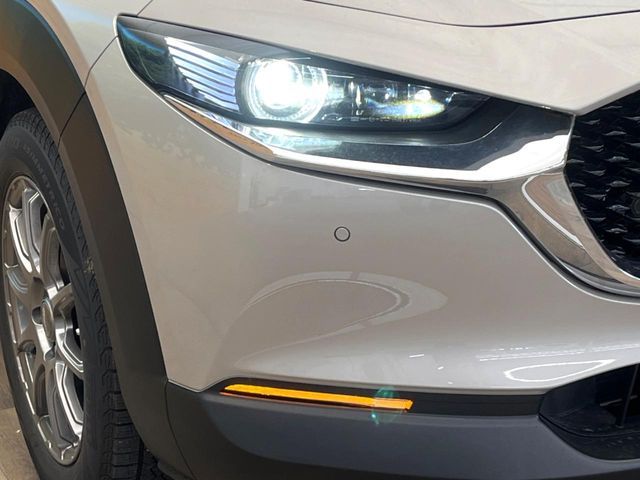 CX-30