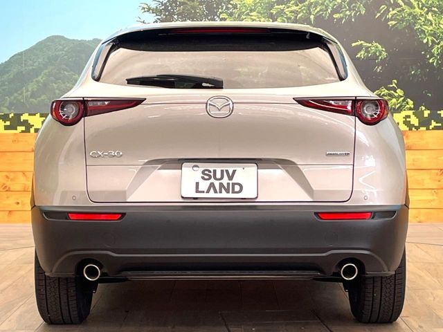 CX-30