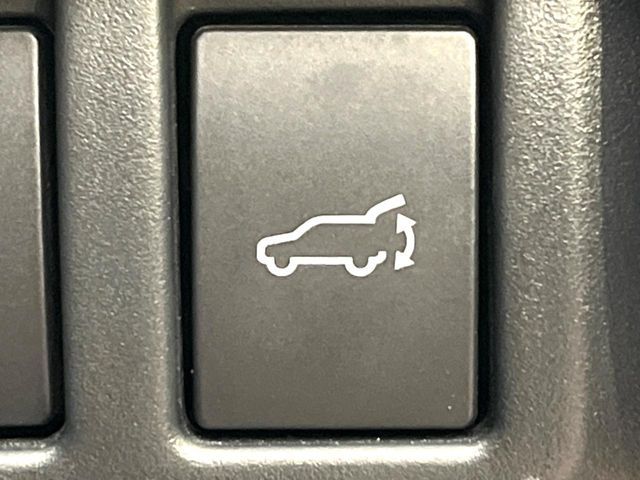 LEVORG LAYBACK