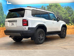 LANDCRUISER 250