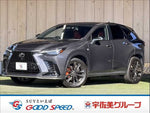LEXUS NX350h