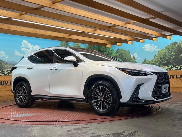 LEXUS NX350h AWD
