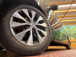 SERENA  S-HYBRID