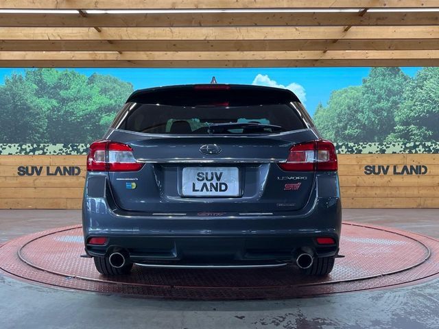 LEVORG