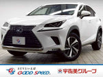 LEXUS NX300h