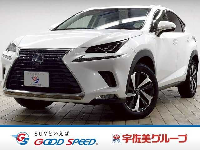 LEXUS NX300h