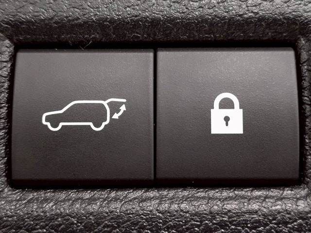 LEXUS NX300h