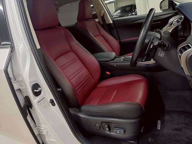 LEXUS NX300h
