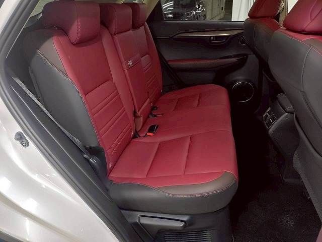LEXUS NX300h