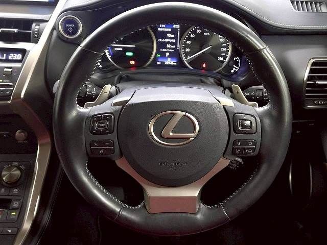 LEXUS NX300h