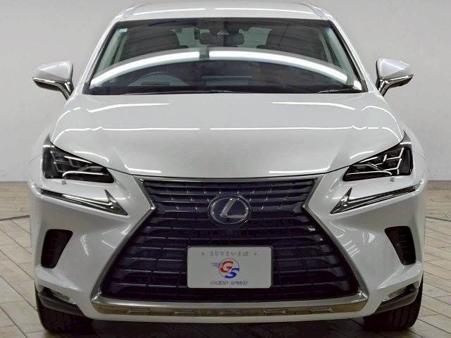 LEXUS NX300h