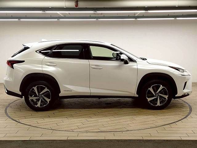 LEXUS NX300h