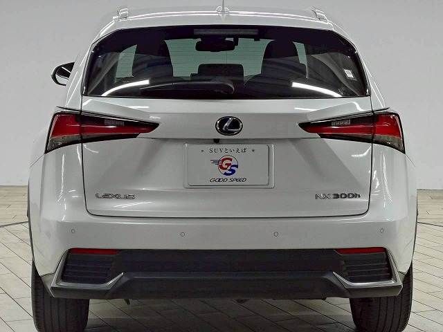 LEXUS NX300h