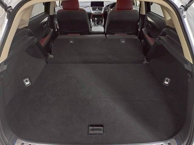 LEXUS NX300h