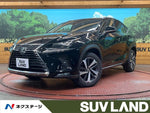 LEXUS NX300