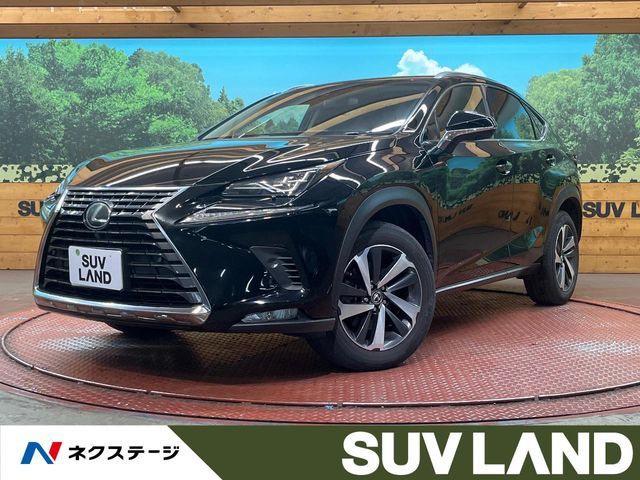 LEXUS NX300