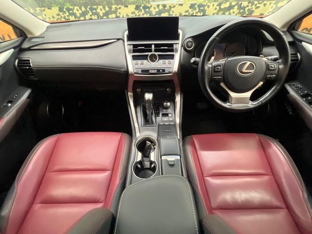 LEXUS NX300
