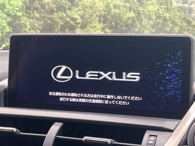 LEXUS NX300