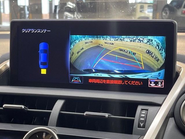 LEXUS NX300