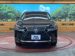 LEXUS NX300
