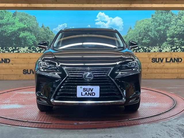 LEXUS NX300