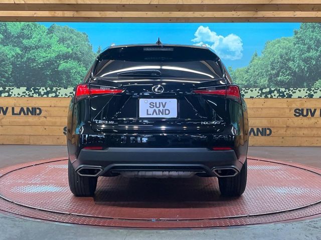 LEXUS NX300