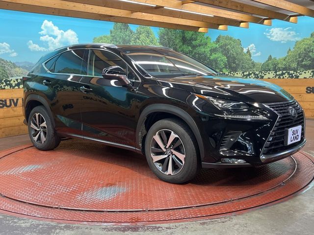 LEXUS NX300
