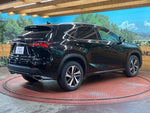 LEXUS NX300