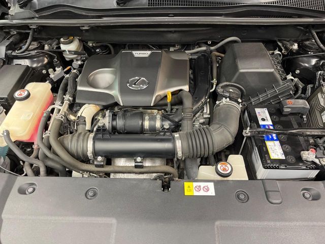 LEXUS NX300