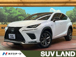 LEXUS NX300