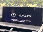 LEXUS NX300