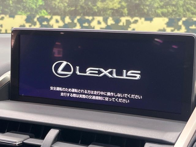 LEXUS NX300