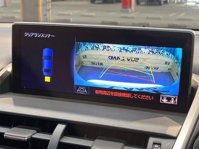 LEXUS NX300