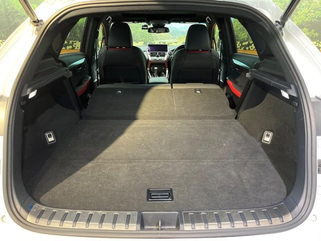 LEXUS NX300