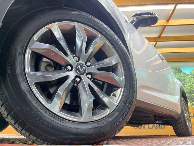 LEXUS NX300