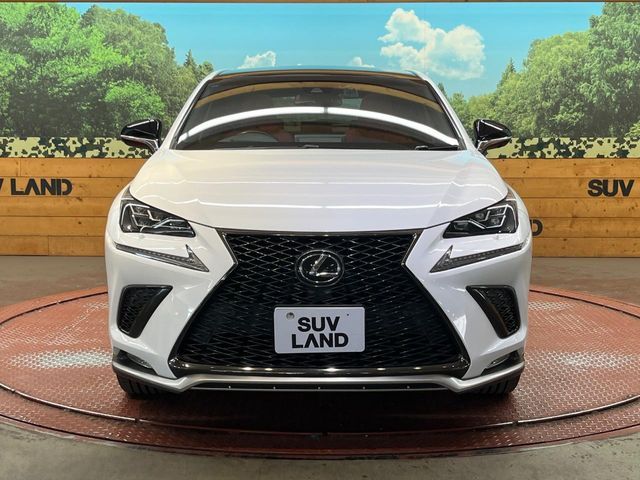 LEXUS NX300