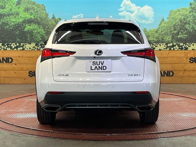 LEXUS NX300