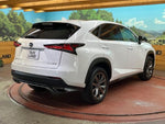 LEXUS NX300